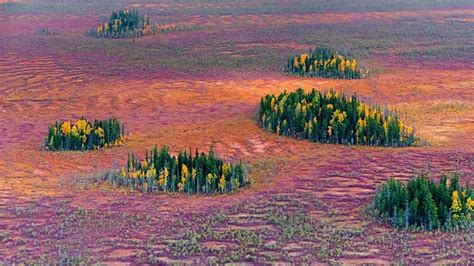 Autumn in the East Siberian taiga, Russia (© Serguei Fomine/500px) | Image of the day, Aerial ...