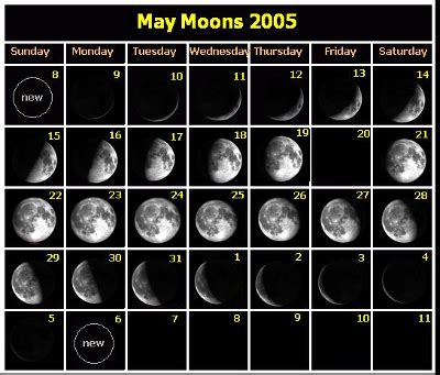 Calendar Types | Lunar, Solar & Metonic Cycles - Lesson | Study.com