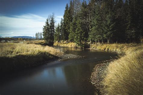 Boundary RV Park | Visit Central Alberta