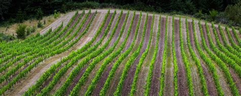 Recology Sonoma Marin - Recycling, Compost, and Trash Collection