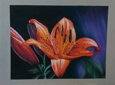 Flower Oil Pastel Paintings