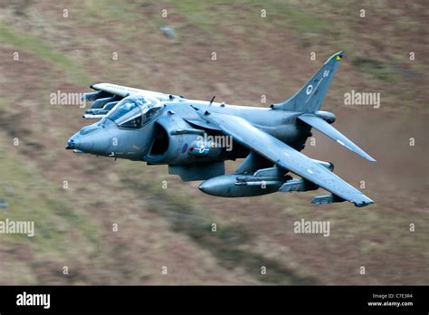 RAF Harrier GR9 attack jet fighter aircraft low level in north Wales Stock Photo, Royalty Free ...