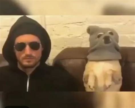 The Hacker and His Dog : r/funny