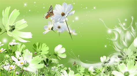 Download A Beautiful Green Flower Standing Out from the Rest ...