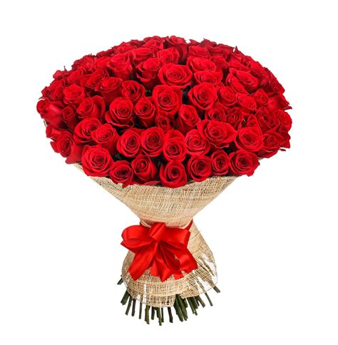 Regalar un Ramo de 100 Rosas Rojas con envío a domicilio al momento