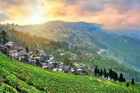 Darjeeling - The Best And Most Popular Hill Station Cherry Hotels