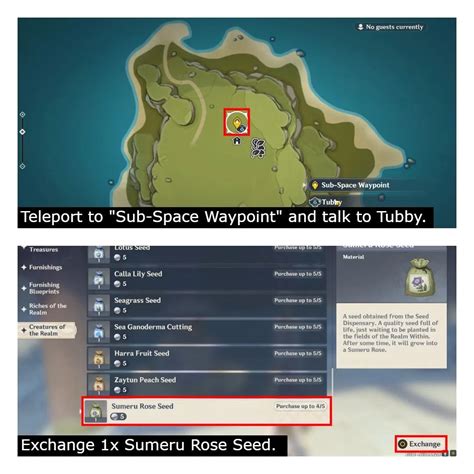 How to "Collect Sumeru Rose Seeds " in Genshin Impact - Followchain