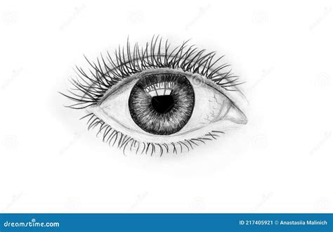 Human Eye Black White Stock Illustrations – 17,243 Human Eye Black ...