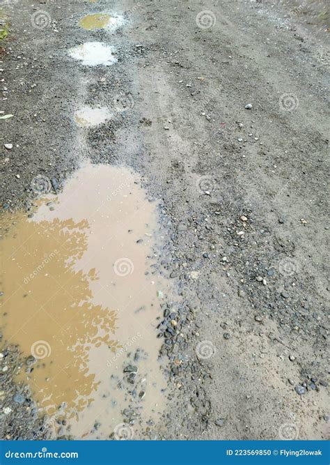 Dirt Road with Mud Puddles after it Rain Stock Photo - Image of rain ...