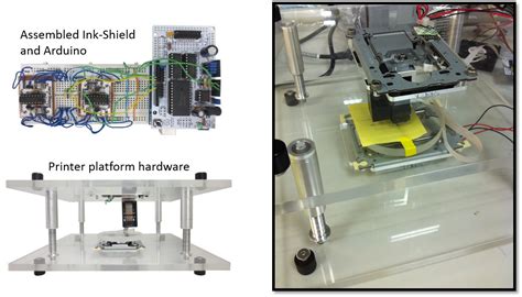 3D DIY Bio-printer: Bioengineering project