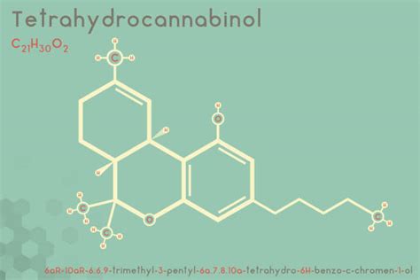 Top 60 Thc Molecule Clip Art, Vector Graphics and Illustrations - iStock