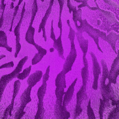 Safari Purple # 2 Free Stock Photo - Public Domain Pictures