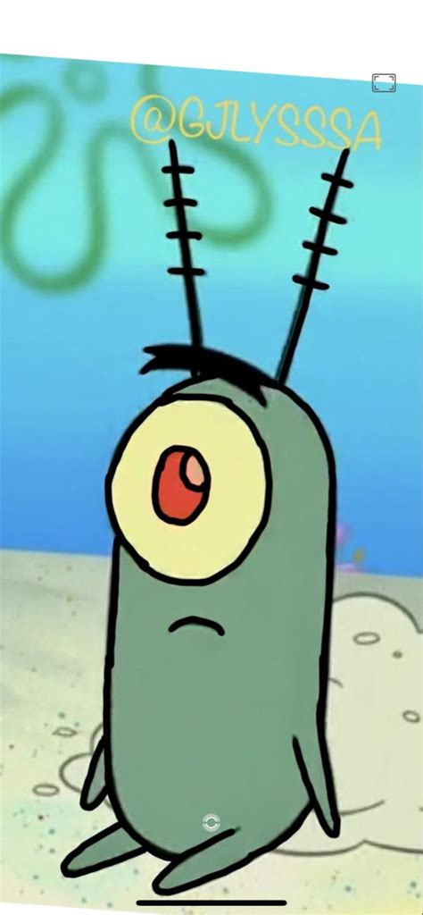 plankton i 2024