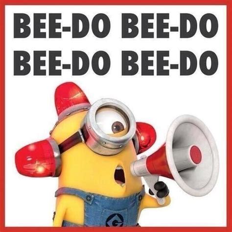 18 best images about Despicable Me :) on Pinterest | Despicableme ...