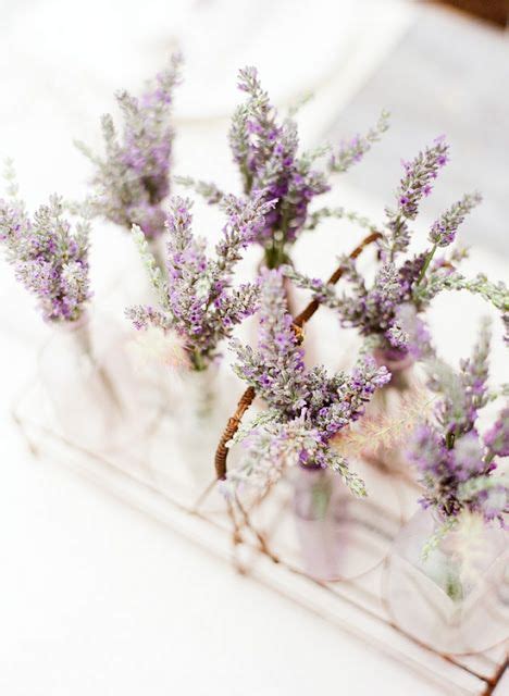 Lavanda | Lavender wedding bouquet, Lavender wedding, Flower arrangements