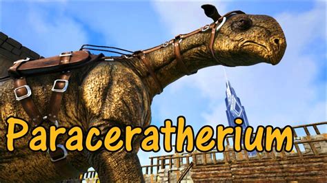 Paraceratherium Educational Special [14] - YouTube