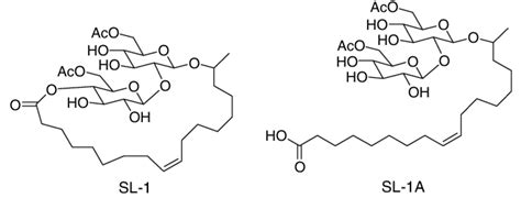 Structures of sophorolipids. The 17-L-[(2... | Download Scientific Diagram