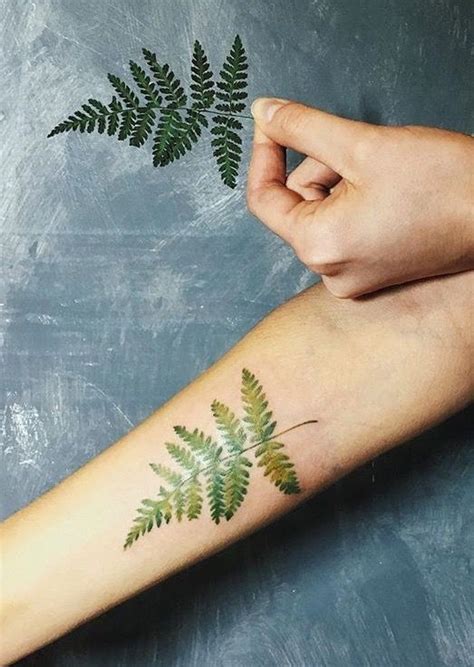 35 Plant Tattoo Ideas & Inspiration - Brighter Craft | Fern tattoo ...