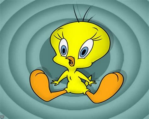 Tweety pie and Background HD wallpaper | Pxfuel