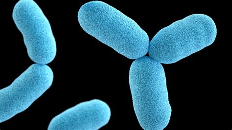 Membrane proteins of bacteria and humans show surprising similarities ...