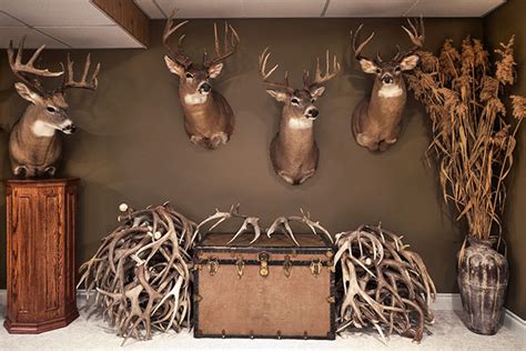 Outfitting Your Trophy Room - Petersen's Hunting