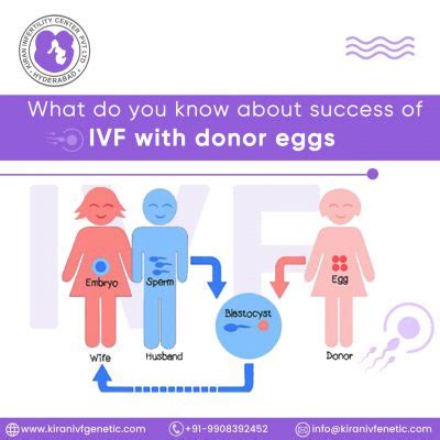 What do you know about success of IVF with donor eggs | Surrogacy india