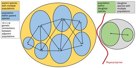 3. Speciation - Digital Atlas of Ancient Life