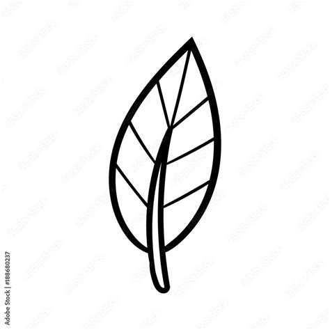 Cartoon Leaf Black Line White Background Stock Vector | Adobe Stock