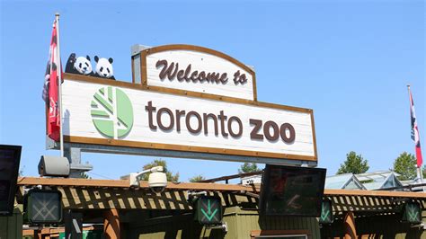 Toronto Zoo reaches tentative agreement with workers’ union - CHCH