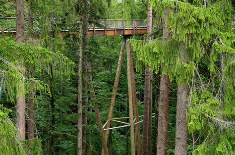 World’s Longest Tree Top Walk in Bavaria | Amusing Planet