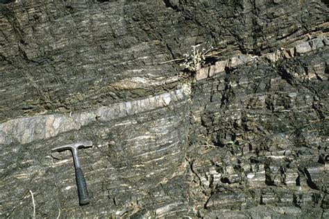 pegmatite sill in gneiss. – Geology Pics