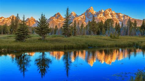 Schwabacher's Landing Sunrise (Grand Teton NP) | Grand tetons ...