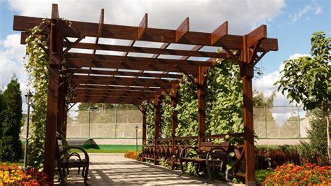 How Much Does It Cost to Build a Pergola? – Forbes Home