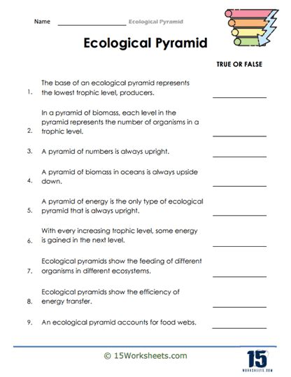 Ecological Pyramid Worksheets - 15 Worksheets.com