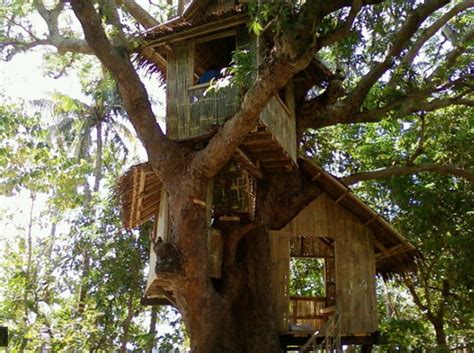 Bangar Tree House | Banton-Island