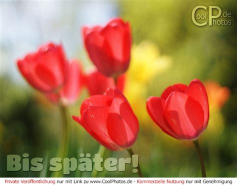 CoolPhotos.de - Grußkarten - Bis bald, morgen etc. - Bis später!