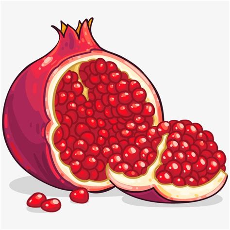 Pomegranate clipart, Pomegranate Transparent FREE for download on WebStockReview 2024