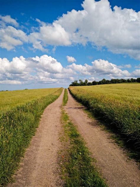 Field road (Denmark) Landscape Photos, Landscape Paintings, Landscape ...