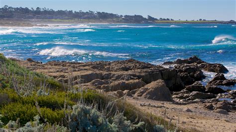 Asilomar State Beach Vacation Rentals: hotel rentals & more | Vrbo