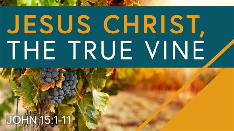 Jesus Christ, the True Vine — Shepherd's Community Church