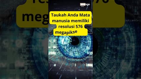 Taukah anda mata manusia memiliki resolusi 576 megapiksel....??? - YouTube