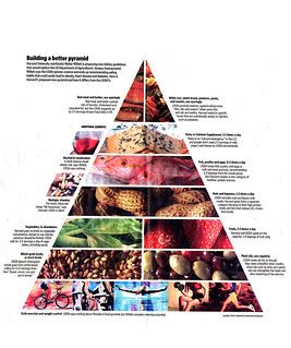 Walter Willette Revised Food Pyramid | The leading Harvard n… | Flickr