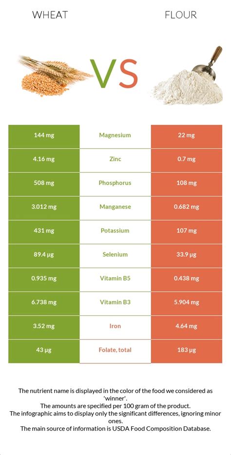 Wheat vs. Flour — In-Depth Nutrition Comparison