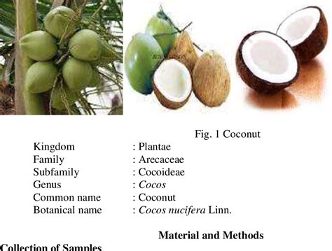 Figure 1 from Nutrition studies on mature and immature coconut meat and ...