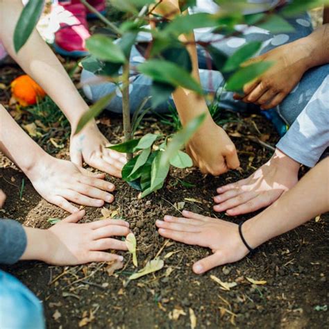 6 Engaging Earth Day Classroom Activities to Inspire Environmental ...