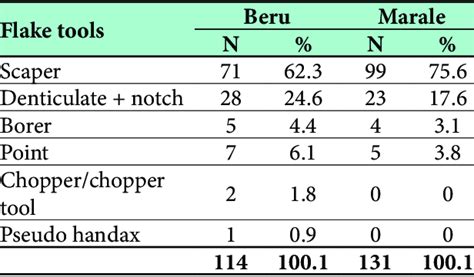 Flake tool types from Beru and Marale | Download Table