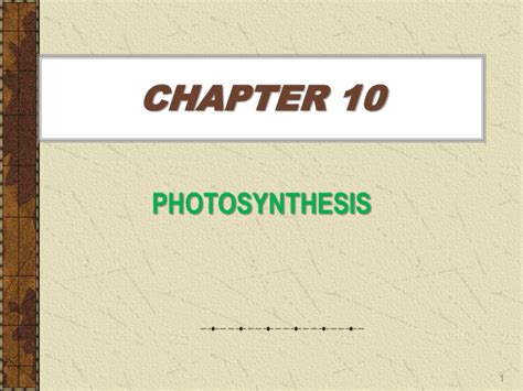 chapter 10 photosynthesis