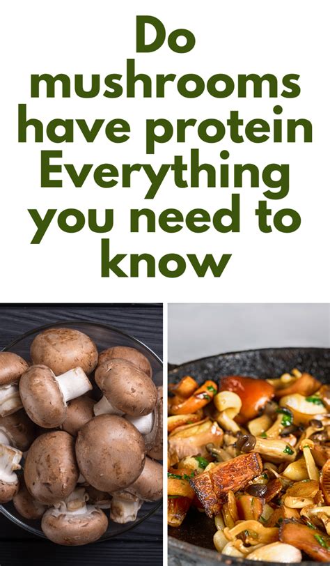 Get The Expert Answer: Do Mushrooms Have Protein? | Mushroom nutrition facts, Mushroom benefits ...