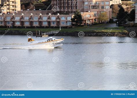 A Sightseeing Float Plane Landing on Victoria Harbor. Stock Photo - Image of green, ingredient ...