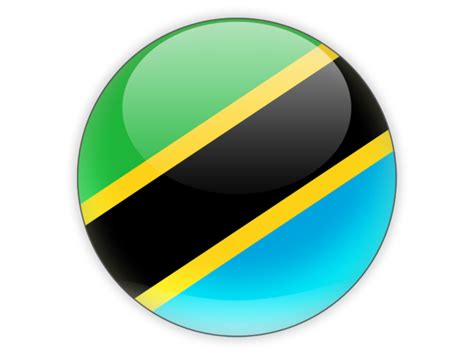 Round icon. Illustration of flag of Tanzania